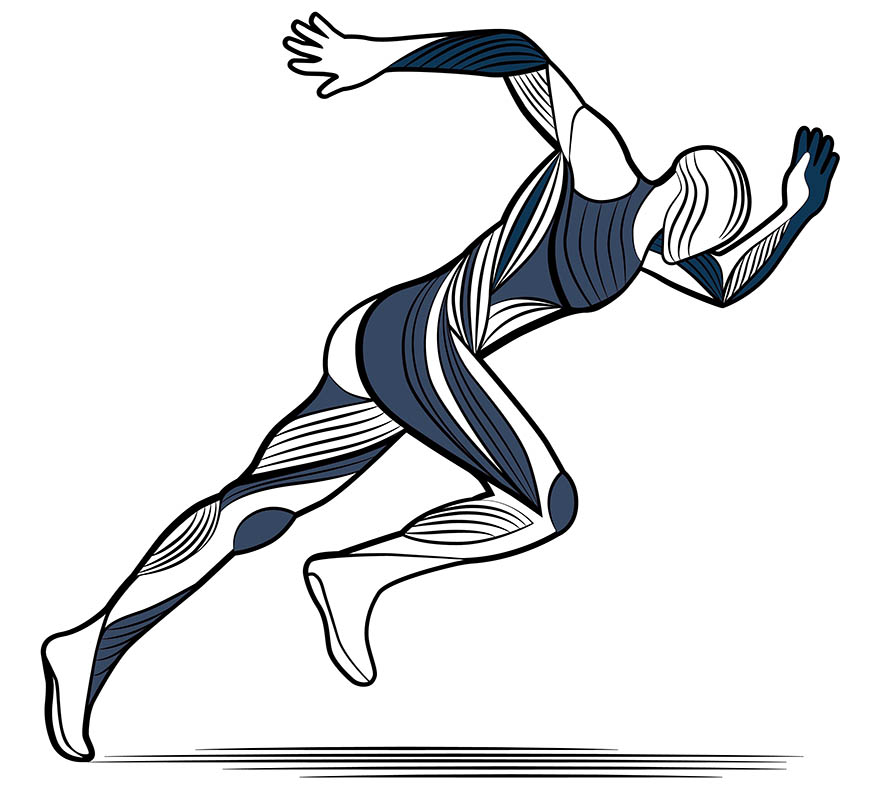 Mappa del dolore - Fisioterapia a Modena